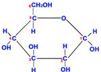 What Are Monomers