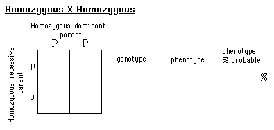which of the following is an example of a homozygous dominant genotype