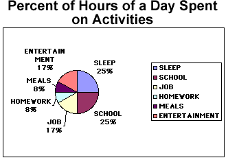 Pie Graph of Day's Activities