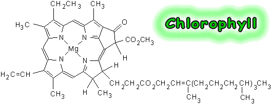 structural formula of chlorophyll