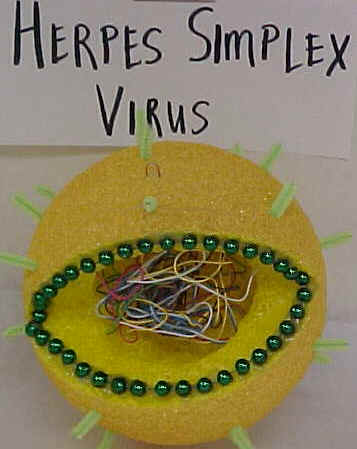 virus research project high school