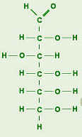 [Glucose Straight Structure]