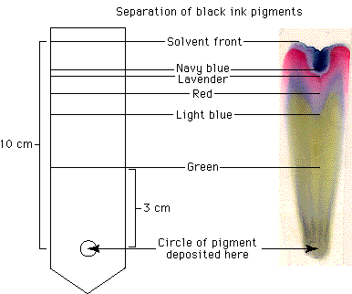 Separation of black ink pigments