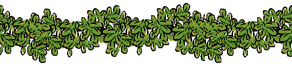 fern gametophyte