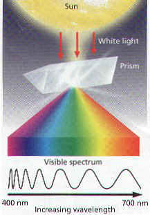 photosynthesis short note