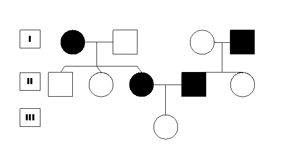 Constructing A Pedigree Worksheet Answers - Worksheet List