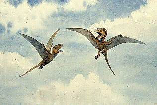 pterosaur_flying.gif (50359 bytes)