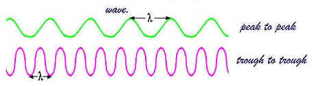 photosynthesis short note