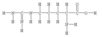 Structure of arginine. [str5arg.jpg]