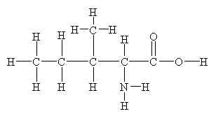 Structure of isoleucine. [str5ile.jpg]