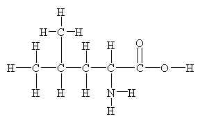 Structure of leucine. [str5leu.jpg]