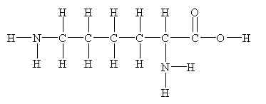 Structure of lysine. [str5lys.jpg]