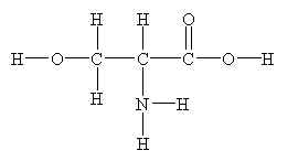 Structure of serine. [str5ser.jpg]