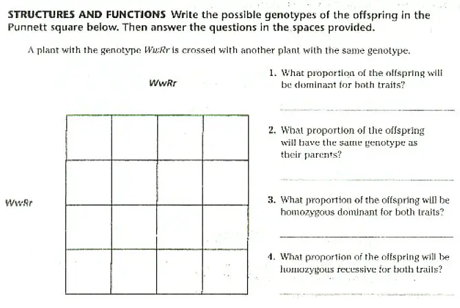 Genetics Study Guide - BIOLOGY JUNCTION