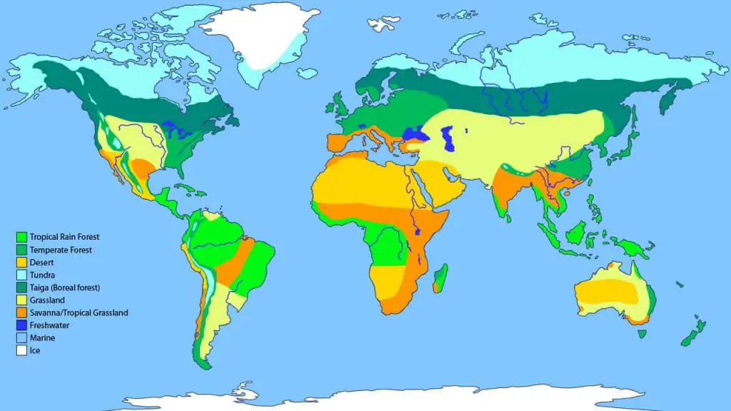 Biome Map: Definition, Examples, And Why It Is Important