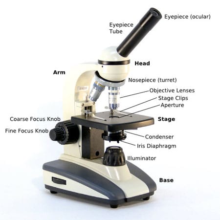 microscope diagram