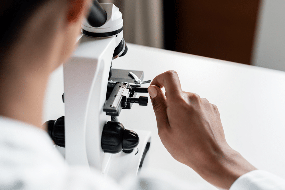 How to Prepare a Microscope Slide to Zoom In on a Specimen