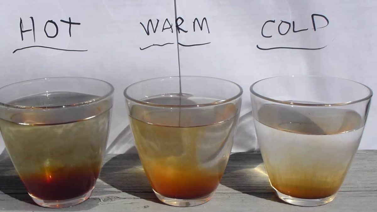 Osmosis vs. Diffusion 101: Definitions, Examples, and Practice Problems