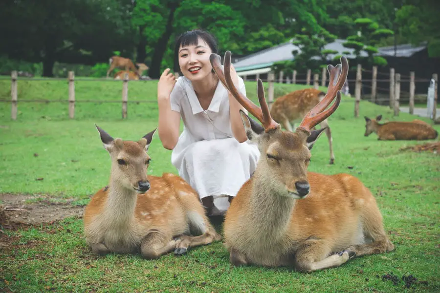 Zoologist together with the two deers
