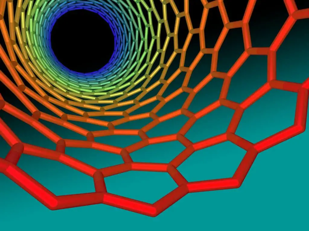 why-is-carbon-so-important-in-biology