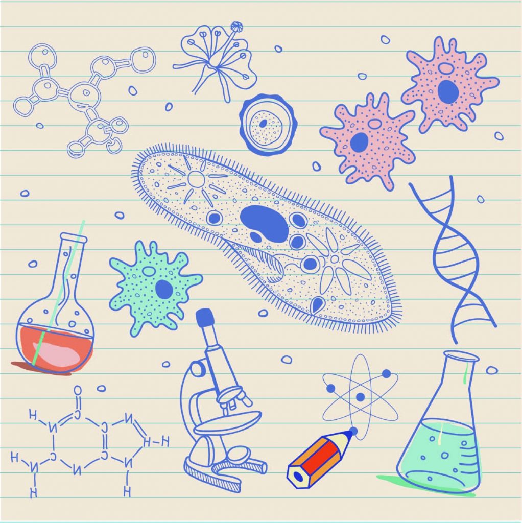 how to format a biology research paper